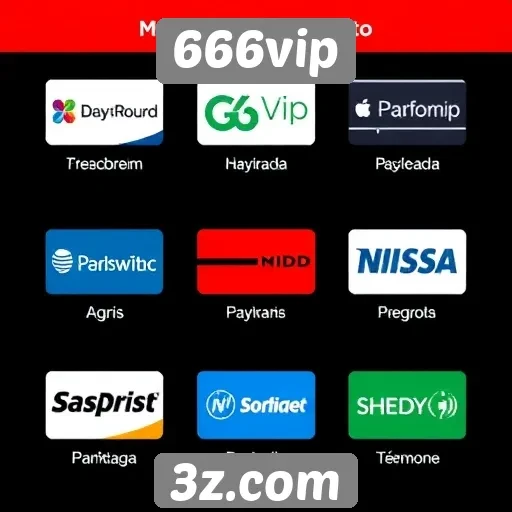 Métodos de pagamento aceitos no site 666vip